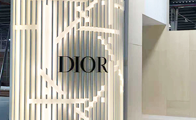 产品展示：不锈钢logo-DIOR